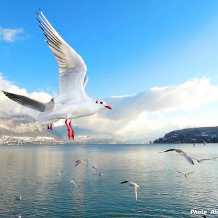 Lake Home Annecy Luaran gambar