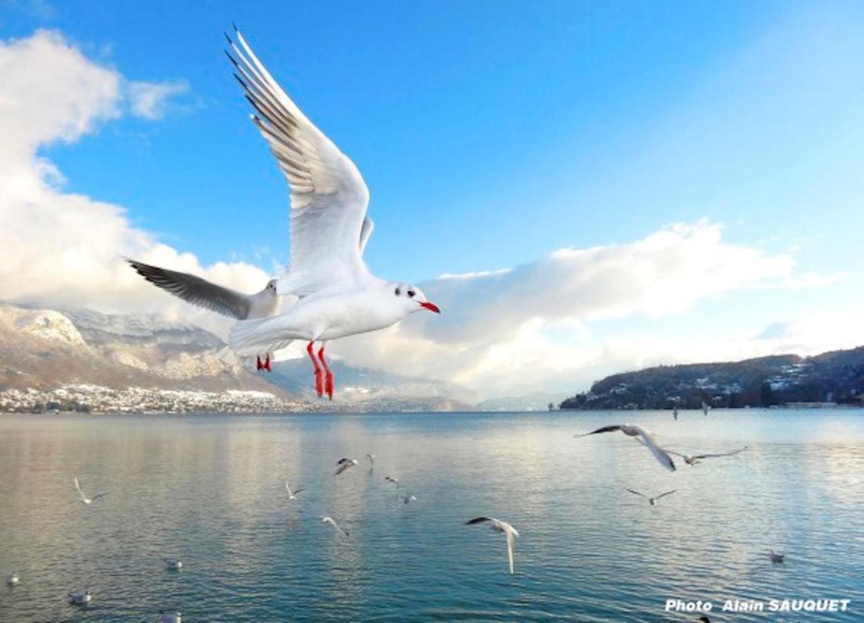 Lake Home Annecy Luaran gambar